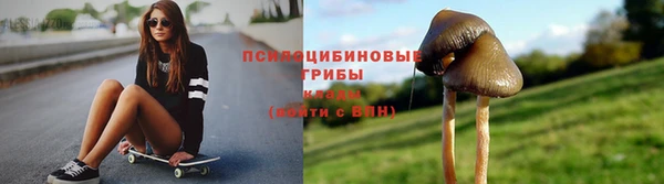 молекула духа Абинск