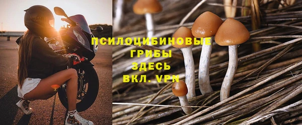 гидра Абдулино