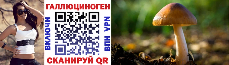 цена наркотик  Азнакаево  Галлюциногенные грибы Cubensis 